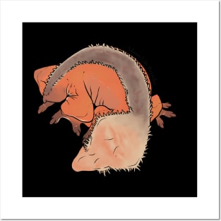 Grayson Line, Large Crested Gecko - Ember Posters and Art